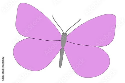 cartoon image of buttefly animal