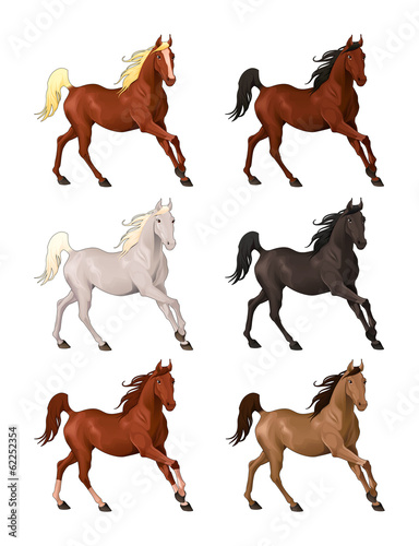 Horses in different colors.