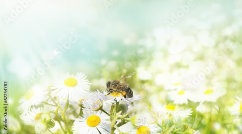Frühling