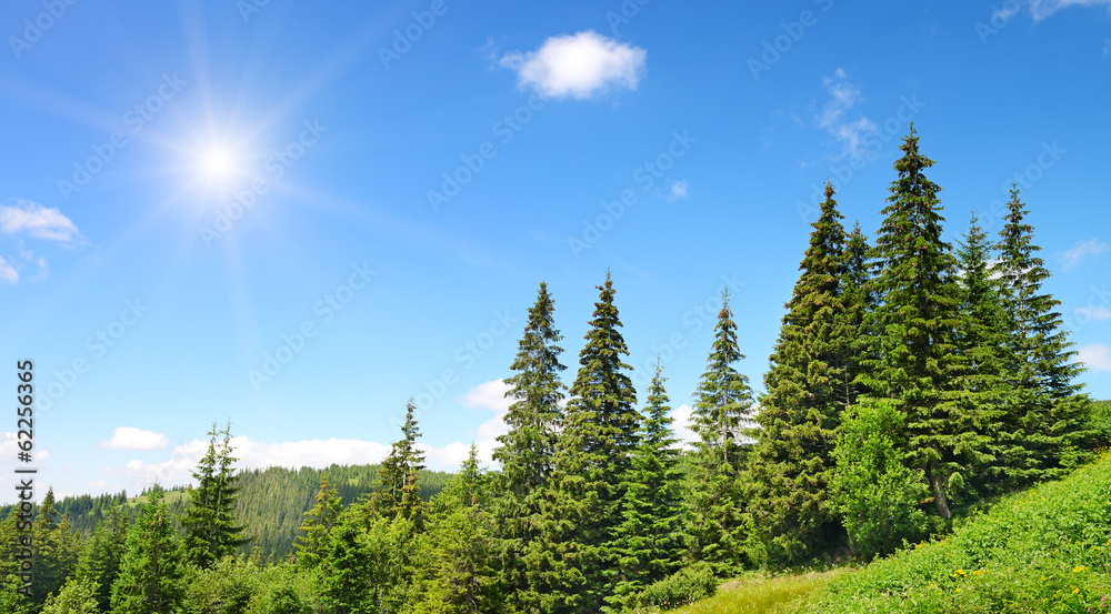 Fototapeta premium High mountains and sun