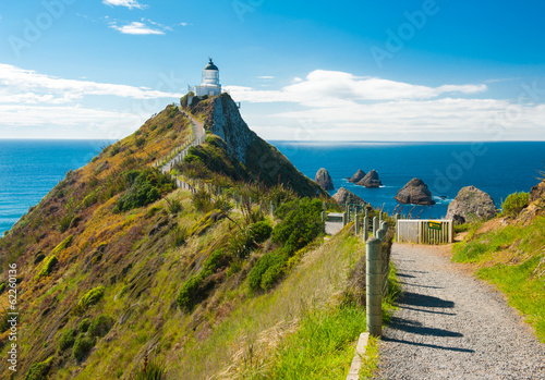Nugget Point photo