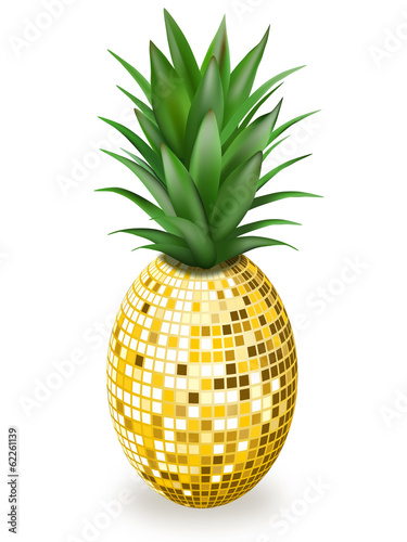 ananas disco photo