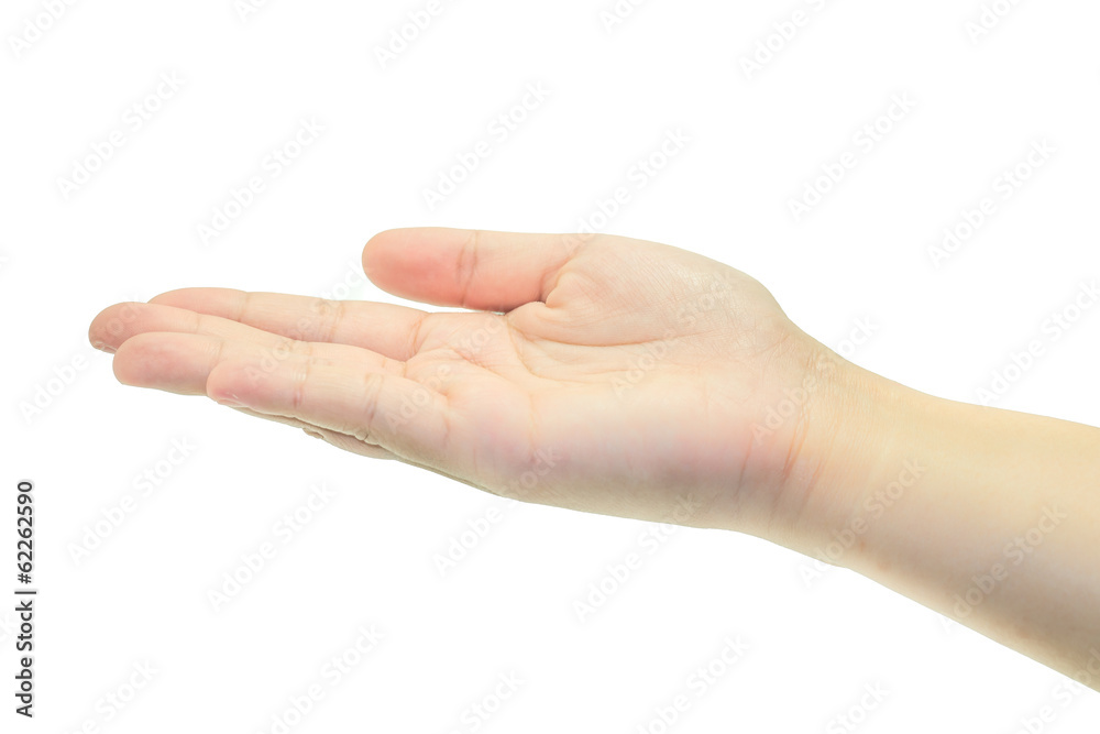 empty female open hand isolated on white empty female open hand isolated on white