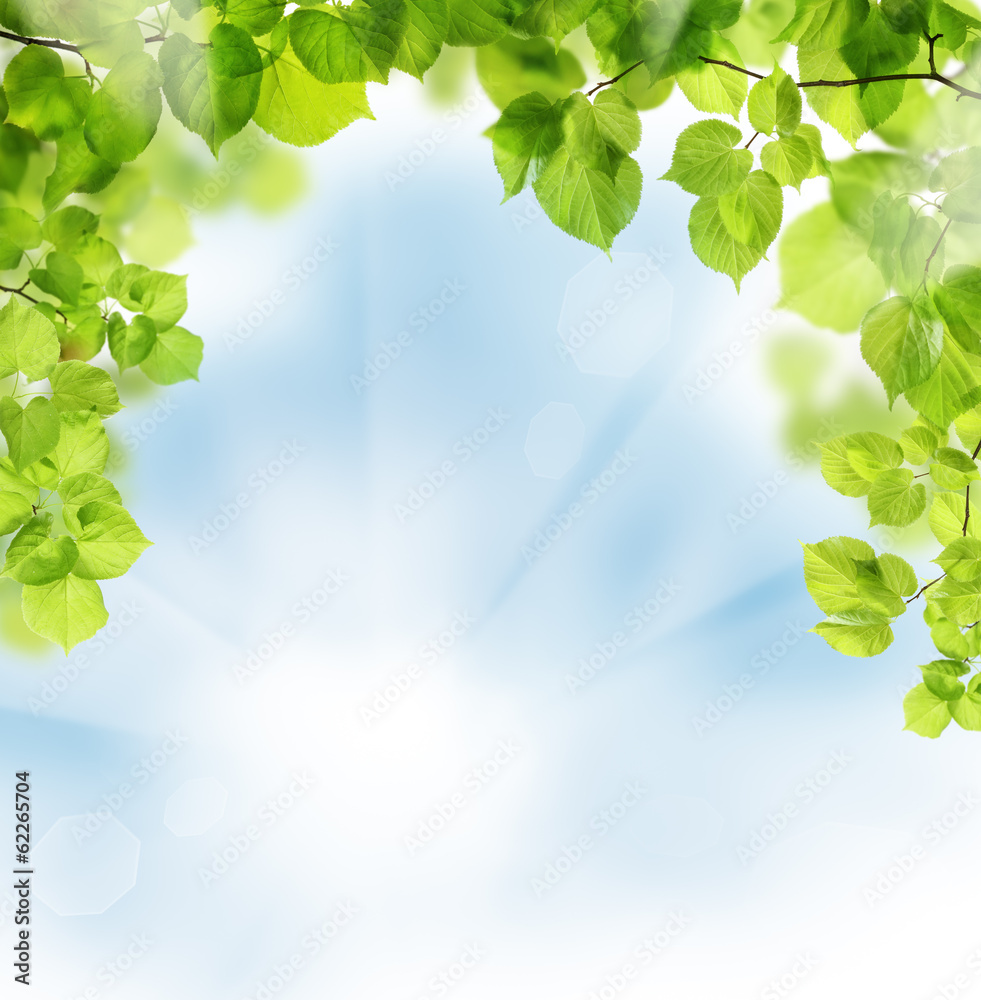 Obraz premium Summer leaves on floral greenery background