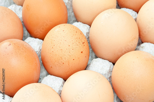 Closeup eggs in panel