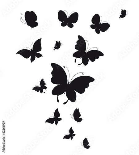 butterflies design