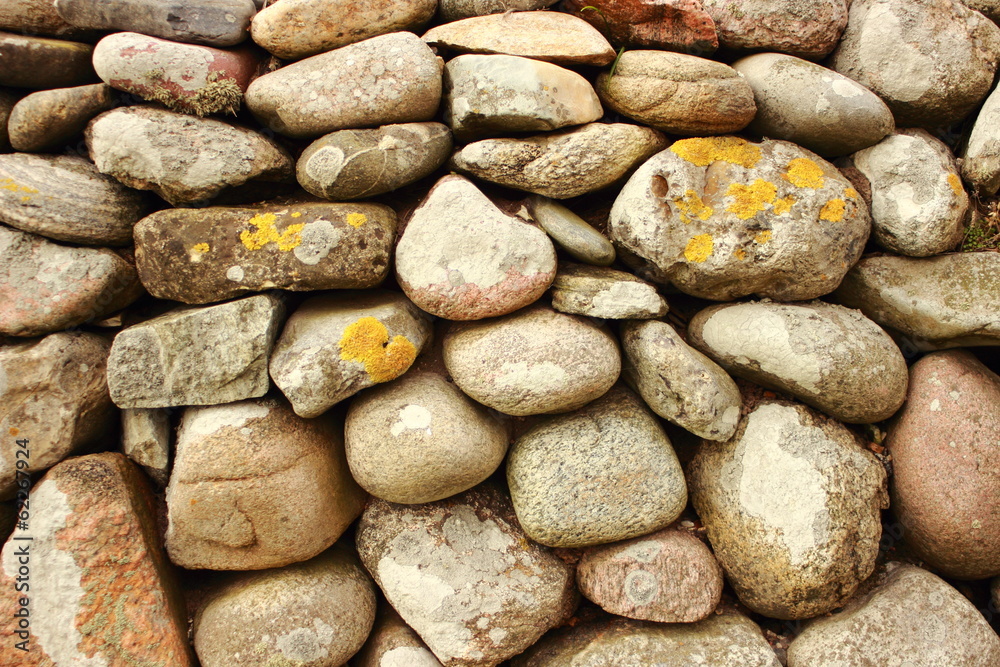 Solid stonewall with round stones and alga Solid stonewall with round stones and alga