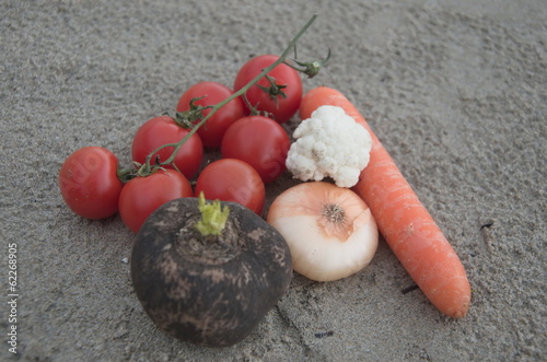 Organic vegetables composition on the sand photo