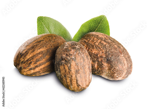 Shea nuts with leaves