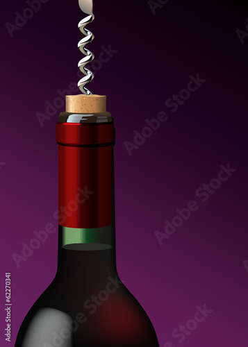 BOUTEILLE Tire Bouchon 2