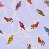 vector background with birds