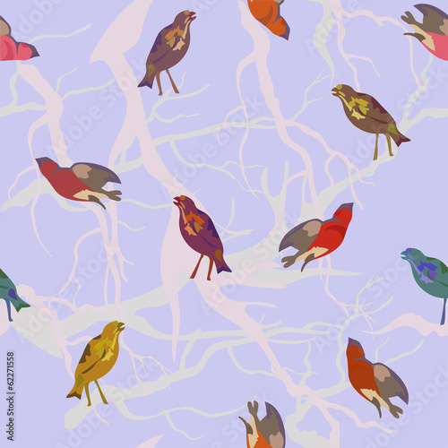 vector background with birds