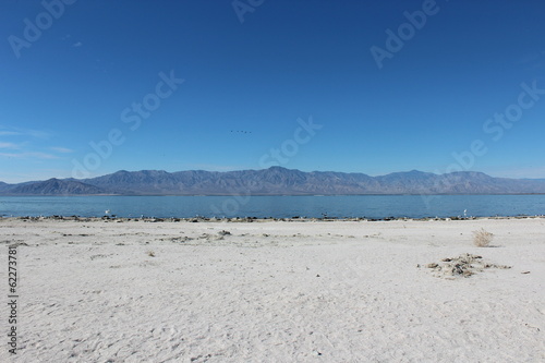 Salton Sea California Landscape