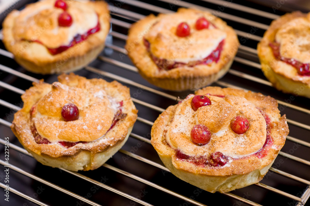 cakeы with cranberries cakeы with cranberries