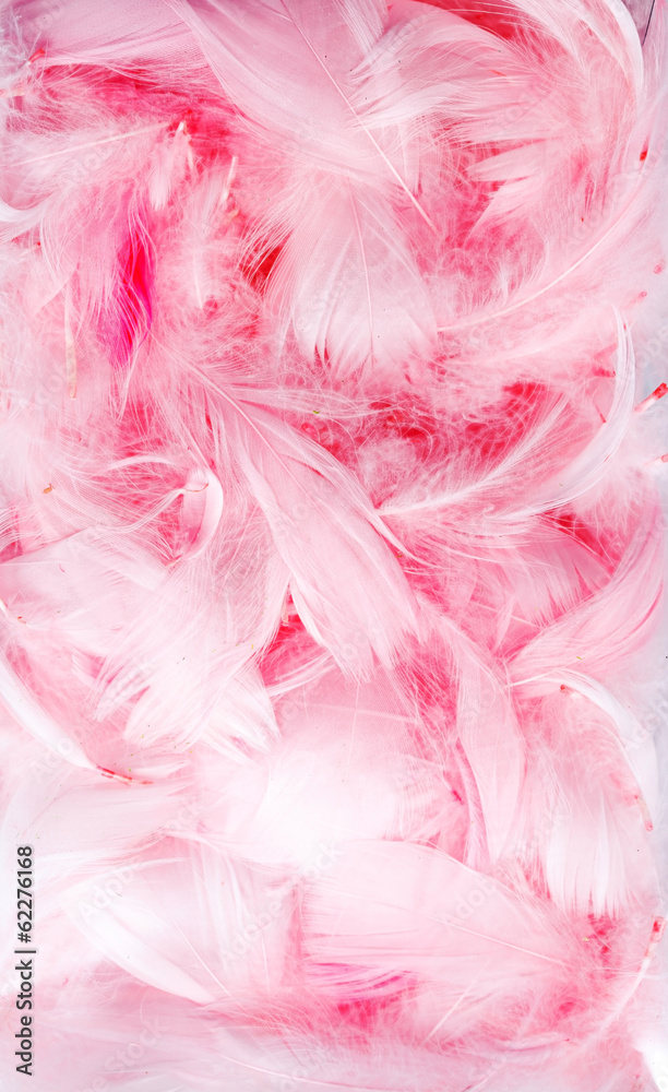 Color feathers Color feathers