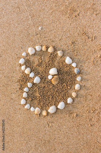 seashells heart shape