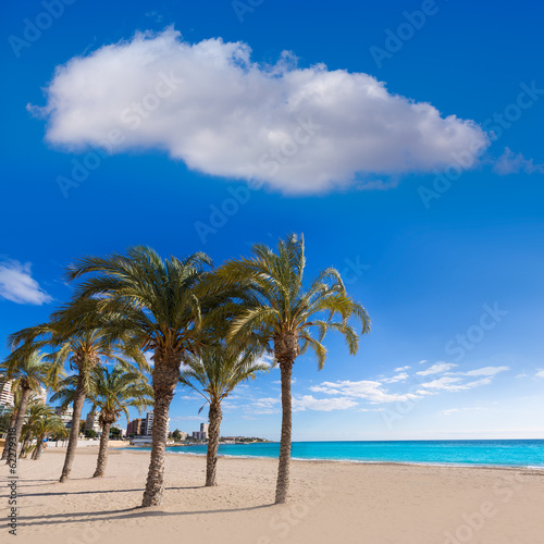 Fototapeta Naklejka Na Ścianę i Meble -  Alicante San Juan beach of La Albufereta with palms trees