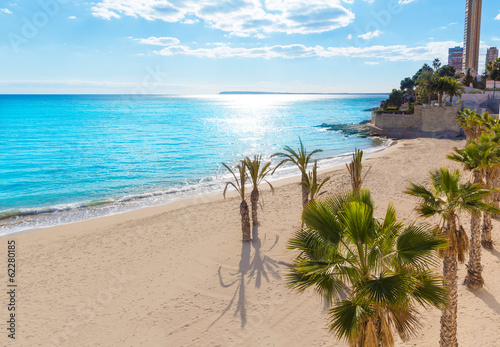 Alicante San Juan beach of La Albufereta with palms trees photo