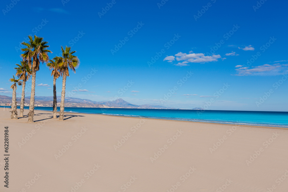 Alicante San Juan beach with palms trees of Mediterranean