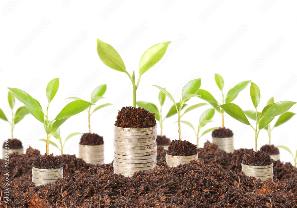 plant on gold coins and graph them plant on gold coins and graph them