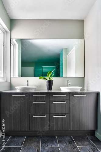 Modern Bathroom using soft Green Pastel Colors