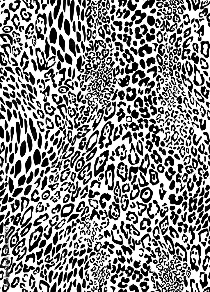 leopard pattern leopard pattern
