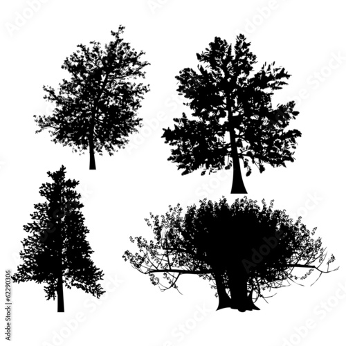 drawing of the tree vector llustration