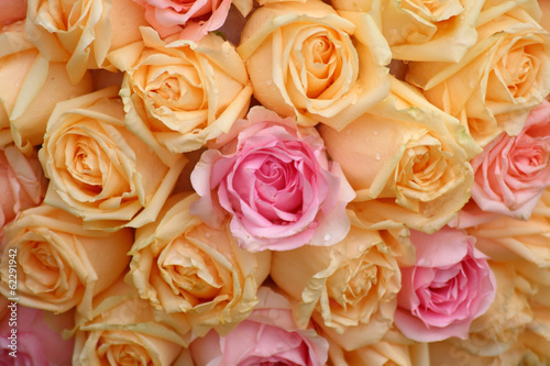 Beautiful yellow and pink roses background