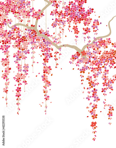 Fototapeta Naklejka Na Ścianę i Meble -  和柄パターン 