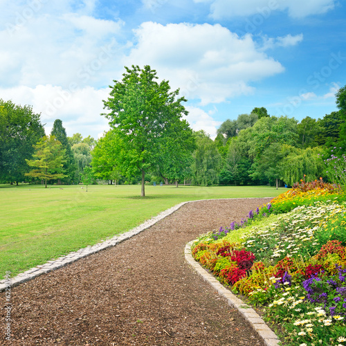Canvas Print Multicolored flowerbed on a glade