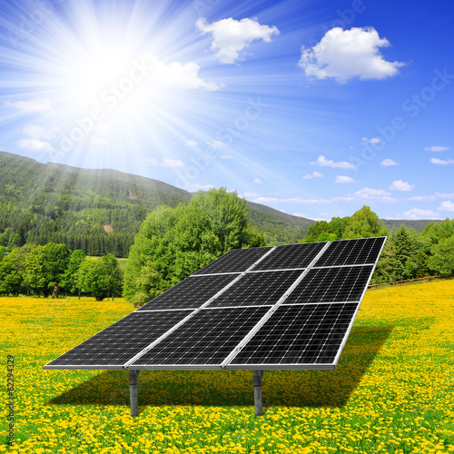 Solar energy panels on dandelion field