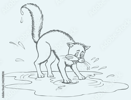 Vector drawing. Scared cat soaked in a puddle