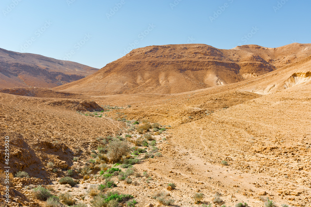 Dry Riverbed Dry Riverbed