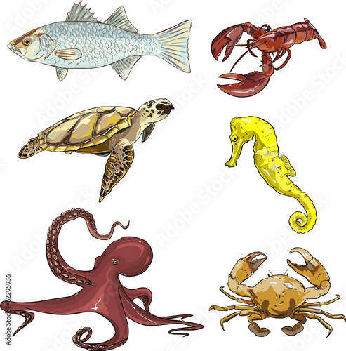 underwater creatures