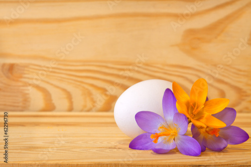 Easter eggs and crocus. 