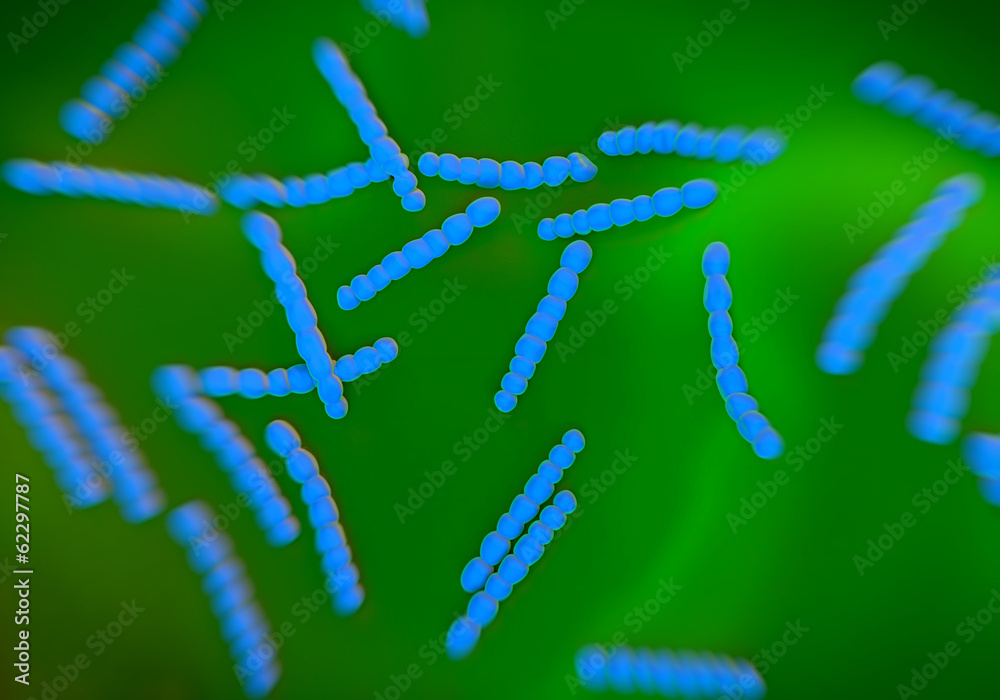 Streptococcus pneumoniae, bacteria artwork Streptococcus pneumoniae, bacteria artwork
