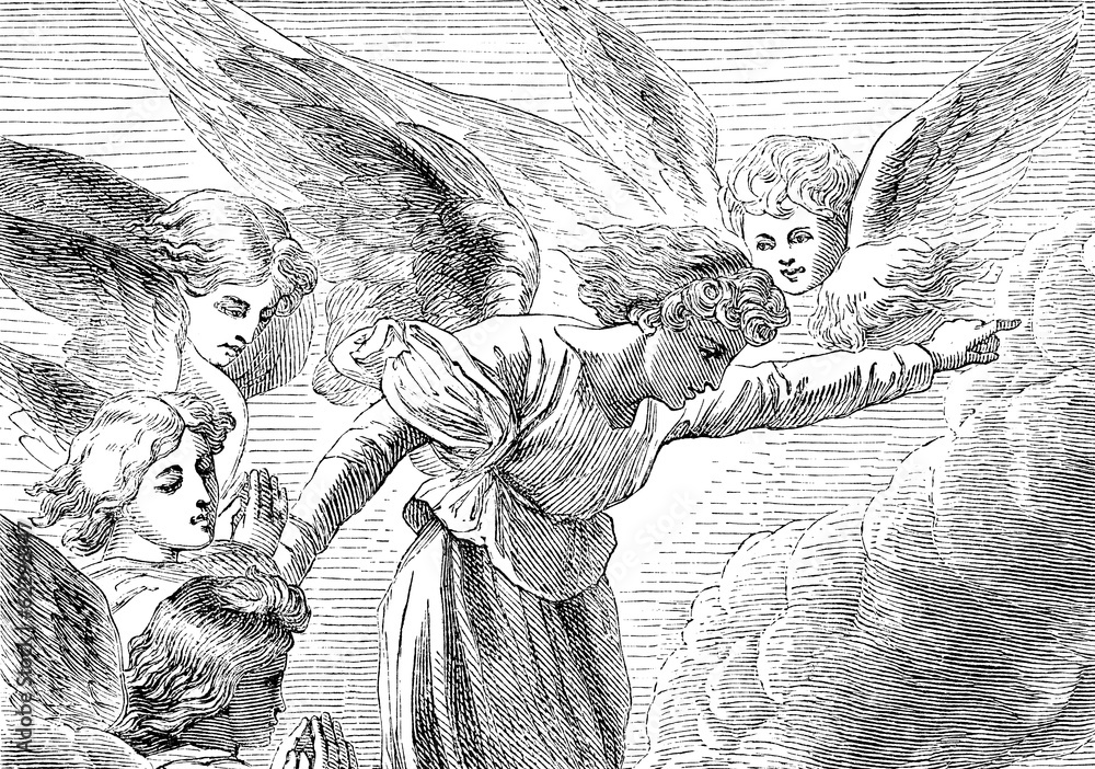 Naklejka premium angels