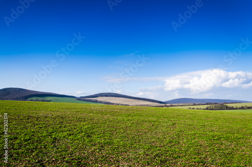 green field and blue sky