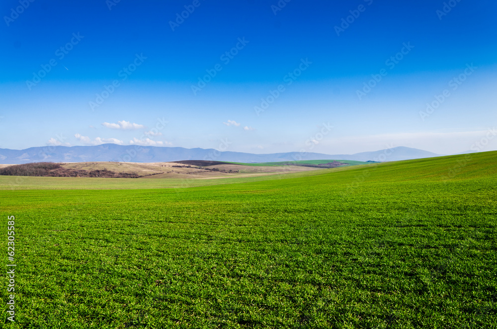 green field and blue sky green field and blue sky
