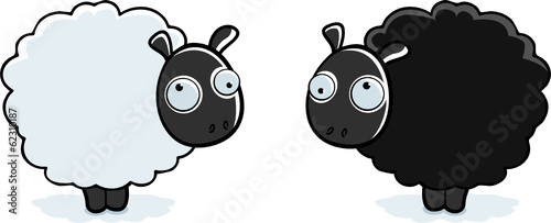 Black and White Sheep