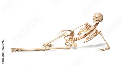 Skeleton of human female lying on floor.