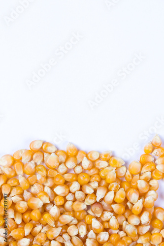 Corn seeds