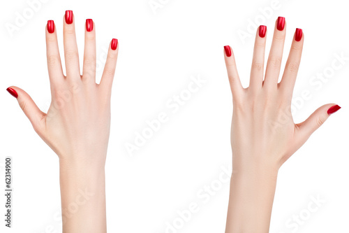 Beautiful female hands.