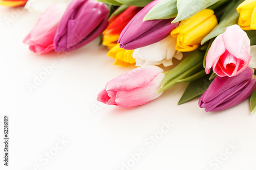 Fototapeta Naklejka Na Ścianę i Meble -  nice tulips