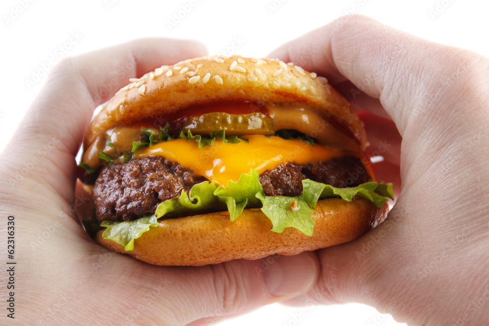 Hands holding cheese burger , isolated on white