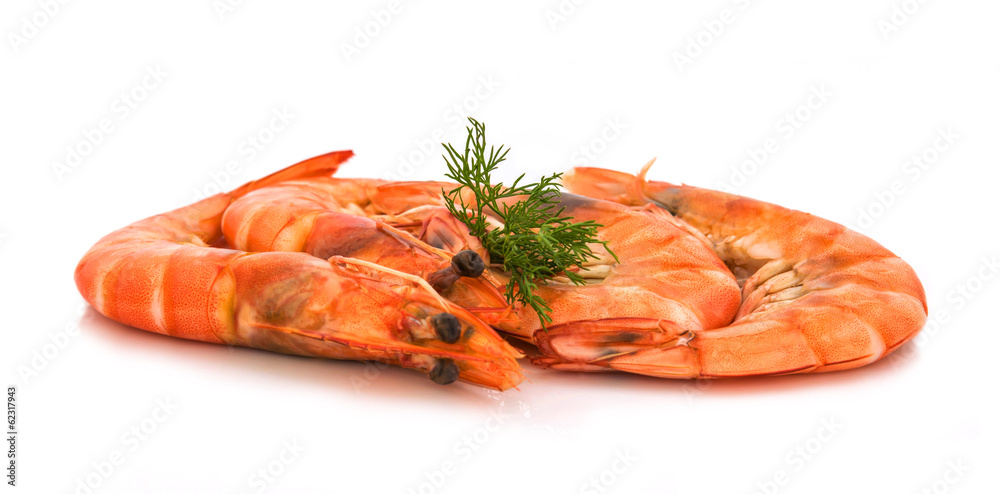 fresh shrimp isolated on a white background fresh shrimp isolated on a white background