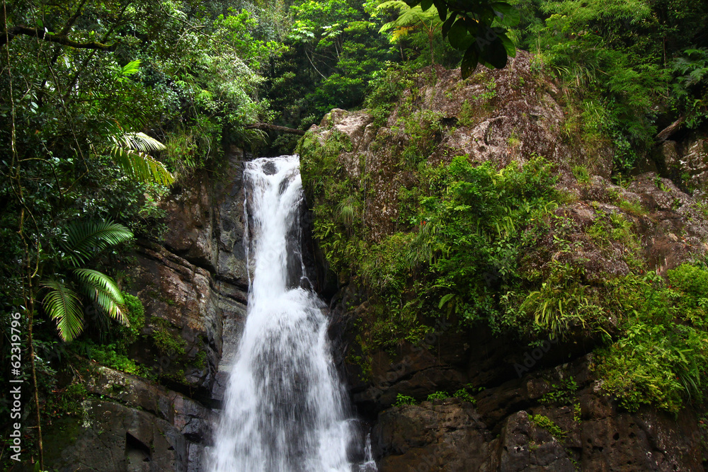 La Mina Falls Puerto Rico La Mina Falls Puerto Rico