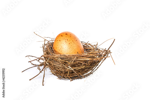 Egg on a white background