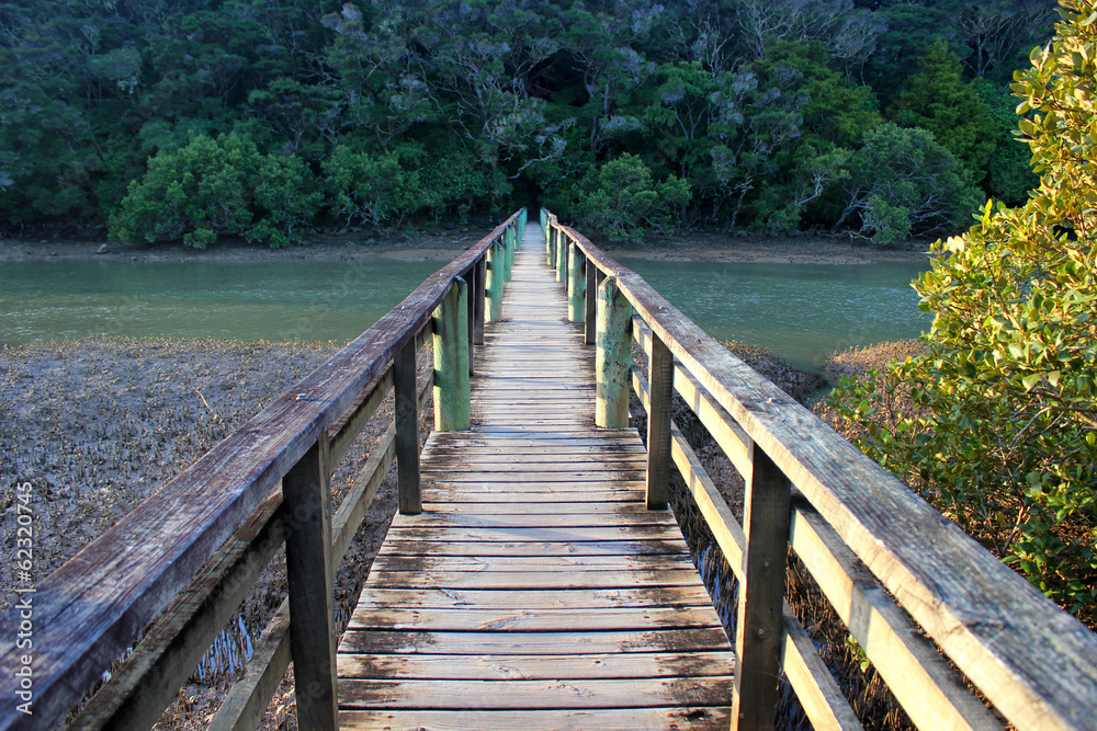 Wooden foot bridge