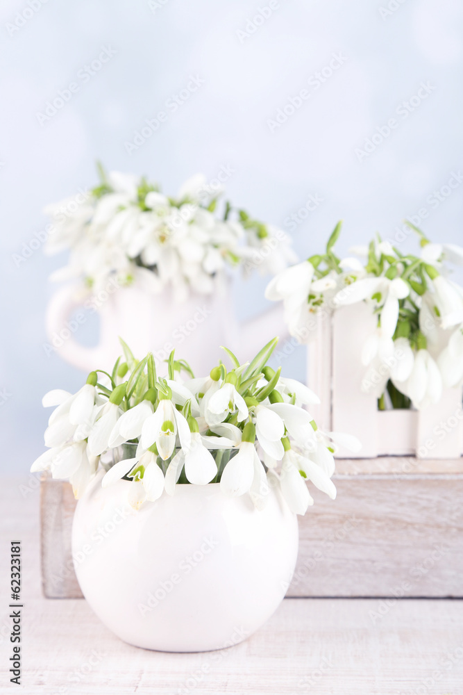 Beautiful snowdrops on light background